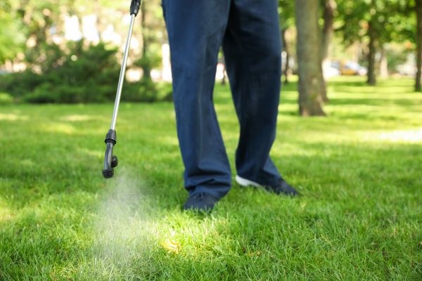 Stuart Lawn Treatment