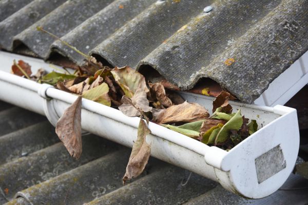 Stuart Gutter Cleaning